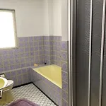 Vakantiehuismoezel *
