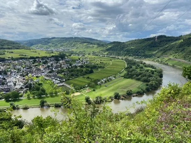 Hébergement de vacances Vakantiehuismoezel Sankt Aldegund
